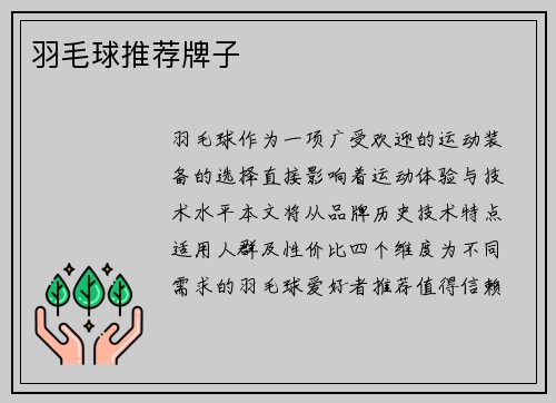 羽毛球推荐牌子